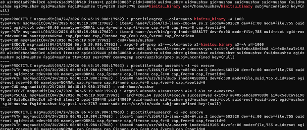 auditd analysis results for HimitsuShell